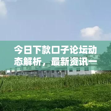 今日下款口子论坛动态解析，最新资讯一网打尽