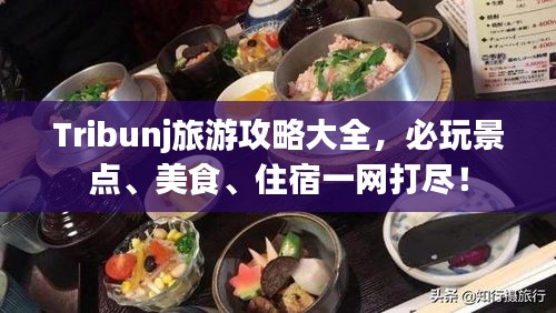 Tribunj旅游攻略大全，必玩景点、美食、住宿一网打尽！