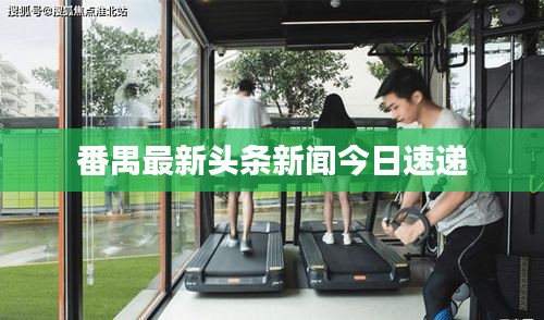 番禺最新头条新闻今日速递
