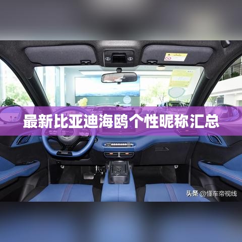 最新比亚迪海鸥个性昵称汇总