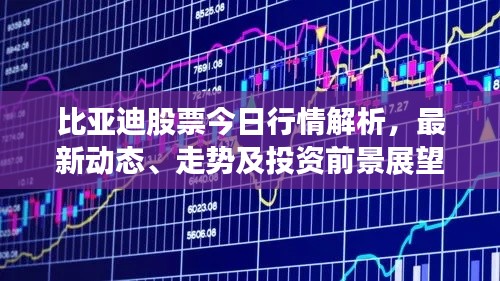 比亚迪股票今日行情解析，最新动态、走势及投资前景展望