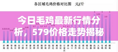 今日毛鸡最新行情分析，579价格走势揭秘