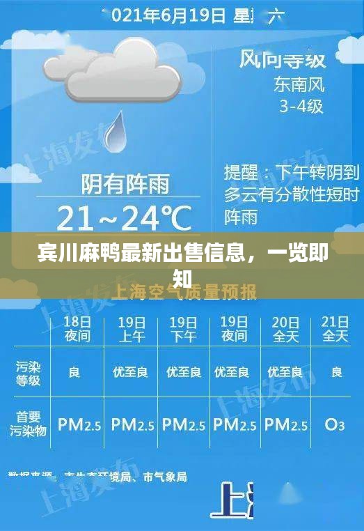 肝胆相照
