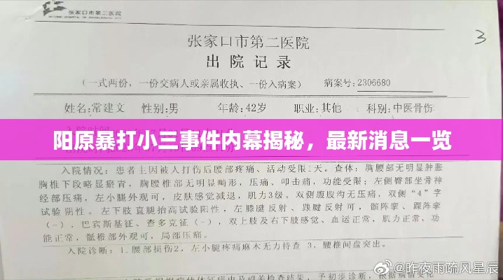 阳原暴打小三事件内幕揭秘，最新消息一览