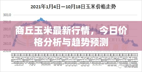 商丘玉米最新行情，今日价格分析与趋势预测