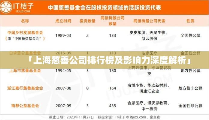 「上海慈善公司排行榜及影响力深度解析」