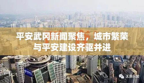 平安武冈新闻聚焦，城市繁荣与平安建设齐驱并进