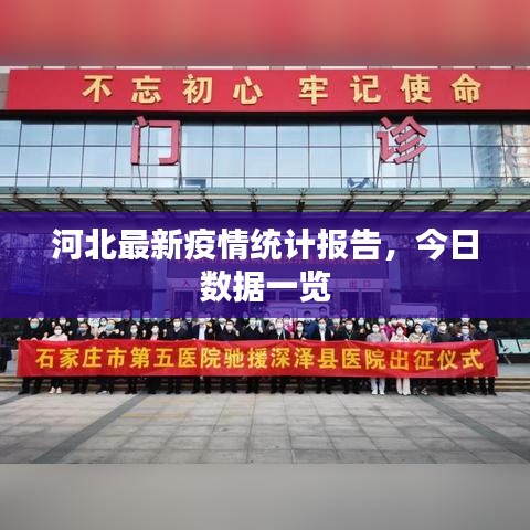 河北最新疫情统计报告，今日数据一览