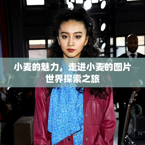 小麦的魅力，走进小麦的图片世界探索之旅