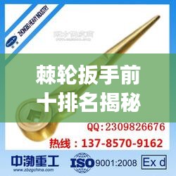 棘轮扳手前十排名揭秘，选购指南与市场洞察一网打尽