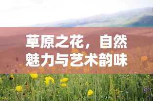 草原之花，自然魅力与艺术韵味的完美结合（百度收录）