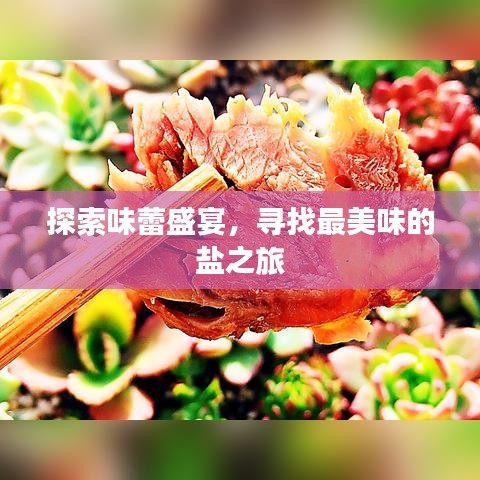 探索味蕾盛宴，寻找最美味的盐之旅