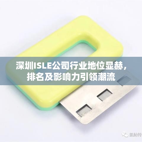 深圳ISLE公司行业地位显赫，排名及影响力引领潮流