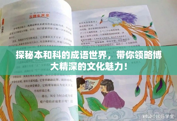 探秘本和科的成语世界，带你领略博大精深的文化魅力！