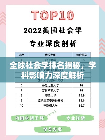 全球社会学排名揭秘，学科影响力深度解析