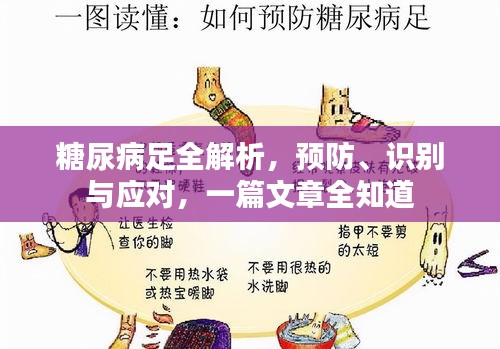 糖尿病足全解析，预防、识别与应对，一篇文章全知道