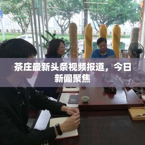 茶庄最新头条视频报道，今日新闻聚焦