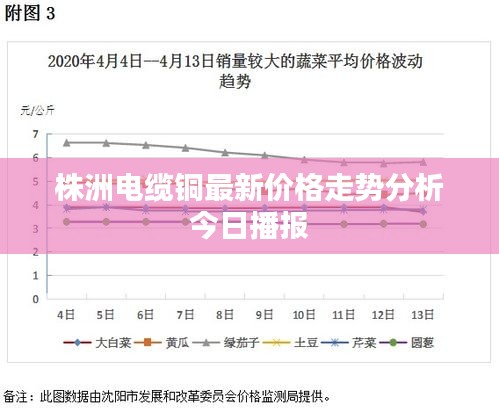 株洲电缆铜最新价格走势分析今日播报