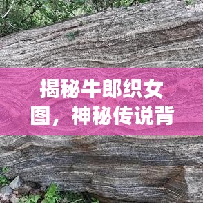 揭秘牛郎织女图，神秘传说背后的故事百度独家收录！