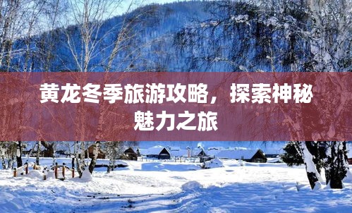 黄龙冬季旅游攻略，探索神秘魅力之旅