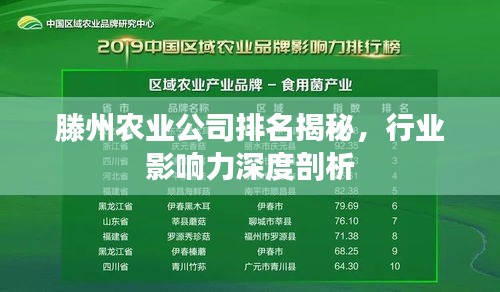 滕州农业公司排名揭秘，行业影响力深度剖析