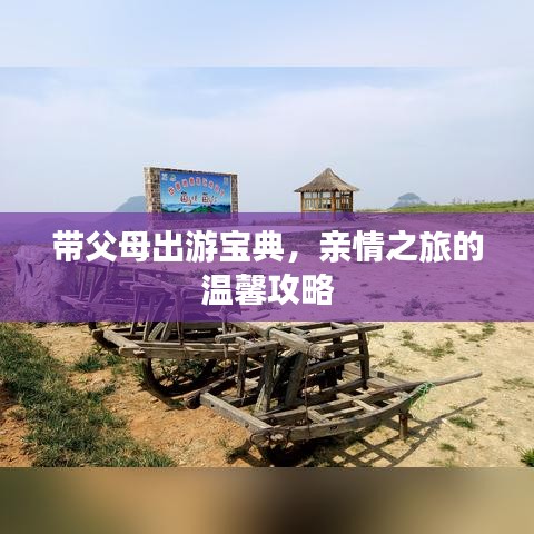 带父母出游宝典，亲情之旅的温馨攻略