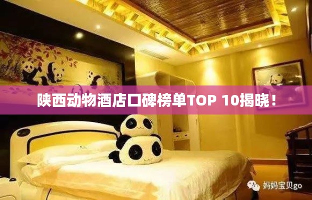 陕西动物酒店口碑榜单TOP 10揭晓！