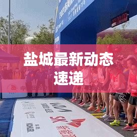 盐城最新动态速递