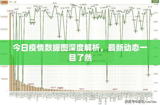 今日疫情数据图深度解析，最新动态一目了然