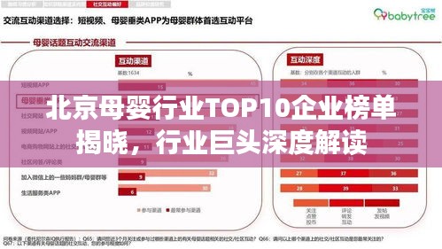 北京母婴行业TOP10企业榜单揭晓，行业巨头深度解读