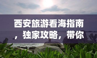 西安旅游看海指南，独家攻略，带你领略别样风情