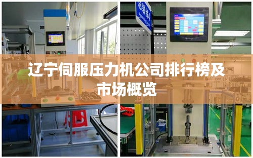 辽宁伺服压力机公司排行榜及市场概览