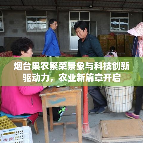 烟台果农繁荣景象与科技创新驱动力，农业新篇章开启