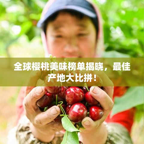 全球樱桃美味榜单揭晓，最佳产地大比拼！