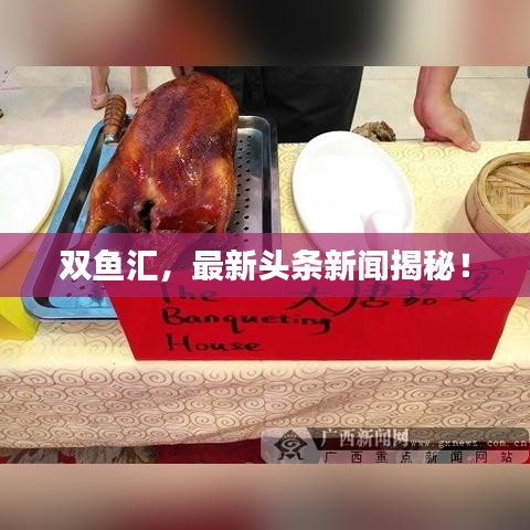 双鱼汇，最新头条新闻揭秘！