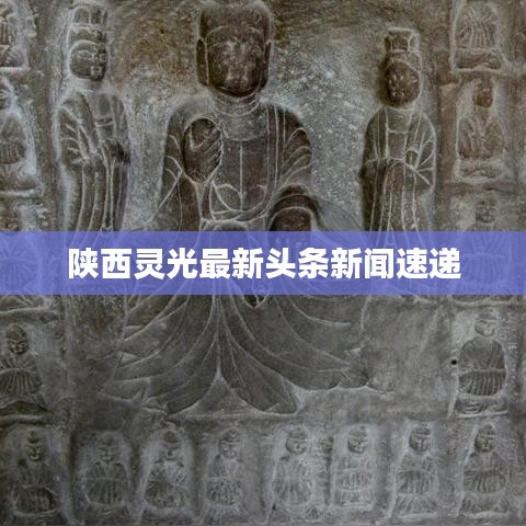 陕西灵光最新头条新闻速递