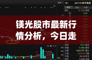 镁光股市最新行情分析，今日走势揭秘