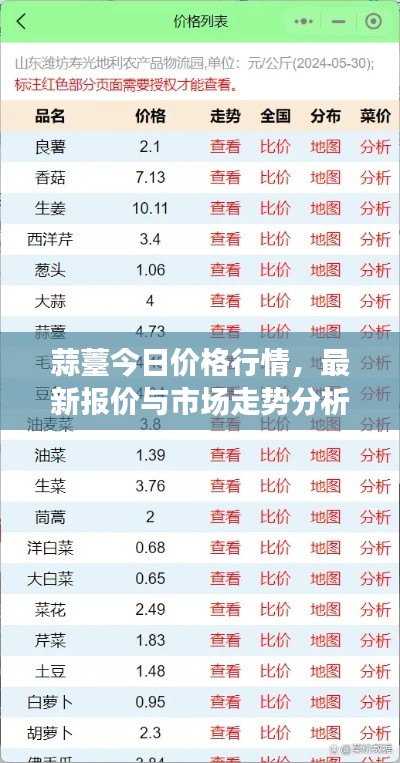蒜薹今日价格行情，最新报价与市场走势分析