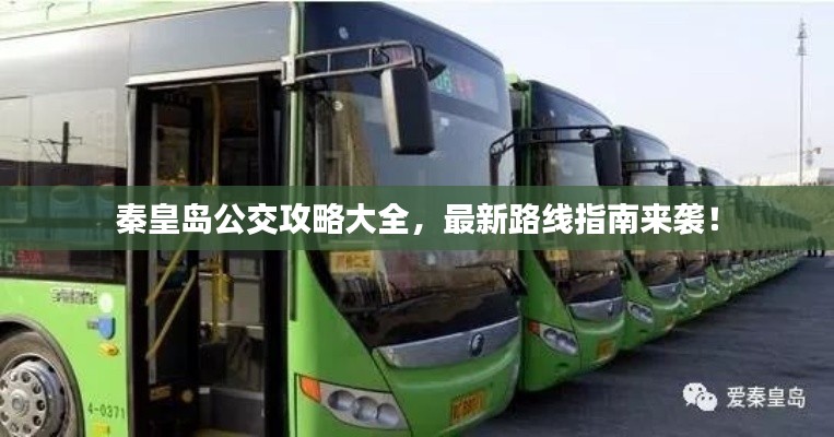 秦皇岛公交攻略大全，最新路线指南来袭！