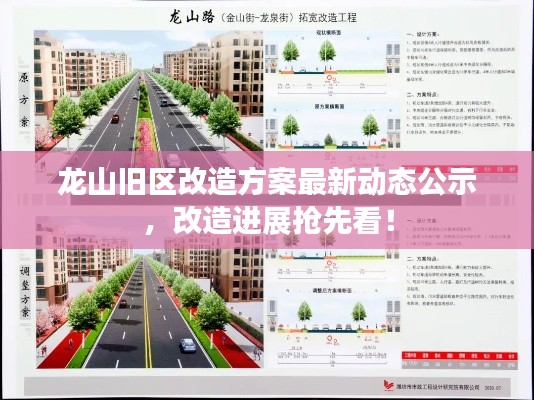 龙山旧区改造方案最新动态公示，改造进展抢先看！