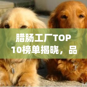 腊肠工厂TOP10榜单揭晓，品质与工艺的完美融合