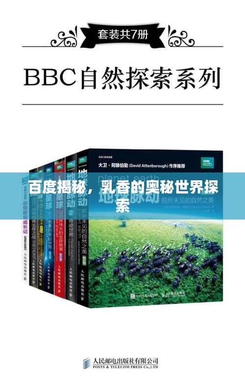 百度揭秘，乳香的奥秘世界探索