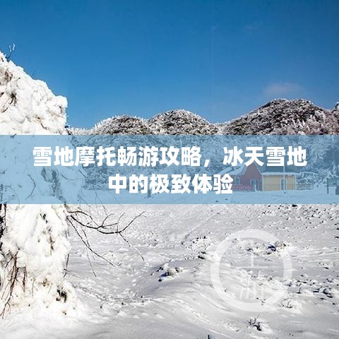 雪地摩托畅游攻略，冰天雪地中的极致体验