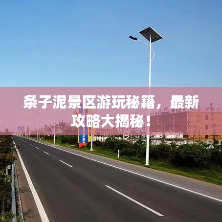 条子泥景区游玩秘籍，最新攻略大揭秘！