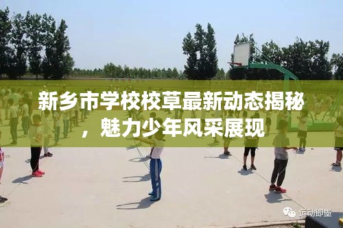 新乡市学校校草最新动态揭秘，魅力少年风采展现