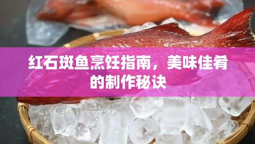 红石斑鱼烹饪指南，美味佳肴的制作秘诀