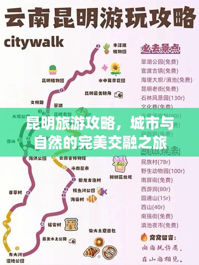 昆明旅游攻略，城市与自然的完美交融之旅