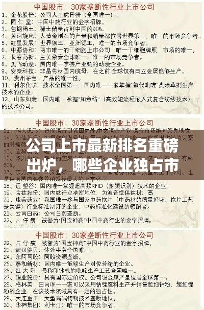 公司上市最新排名重磅出炉，哪些企业独占市场鳌头？