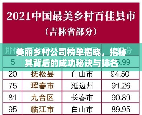 美丽乡村公司榜单揭晓，揭秘其背后的成功秘诀与排名