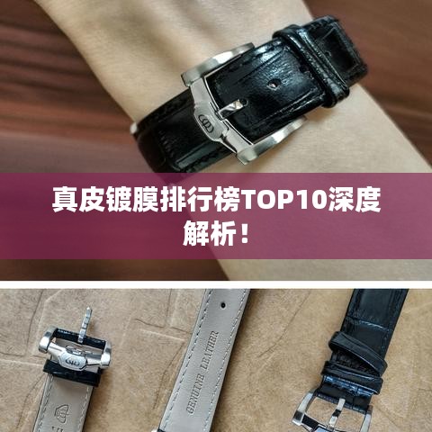 真皮镀膜排行榜TOP10深度解析！